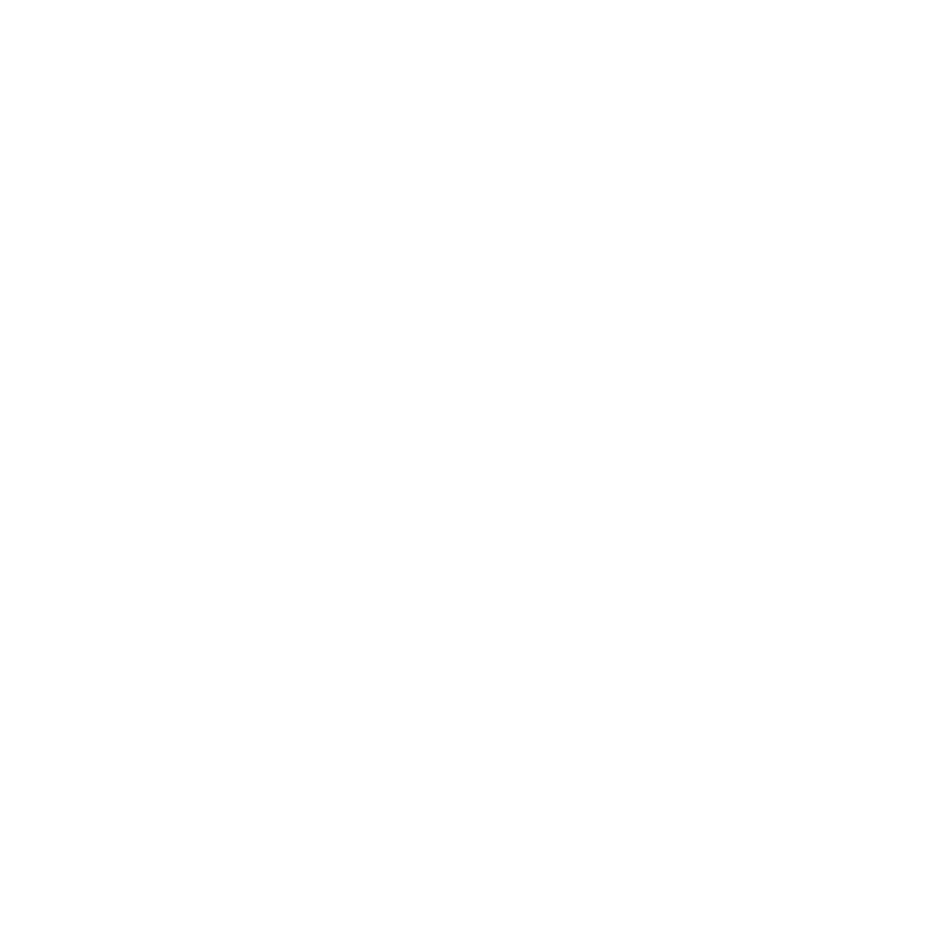 D4Rent Footer Logo